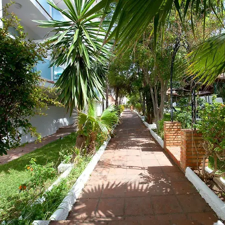 Palia Palomas Torremolinos