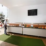 Hotel Palia Palomas Torremolinos