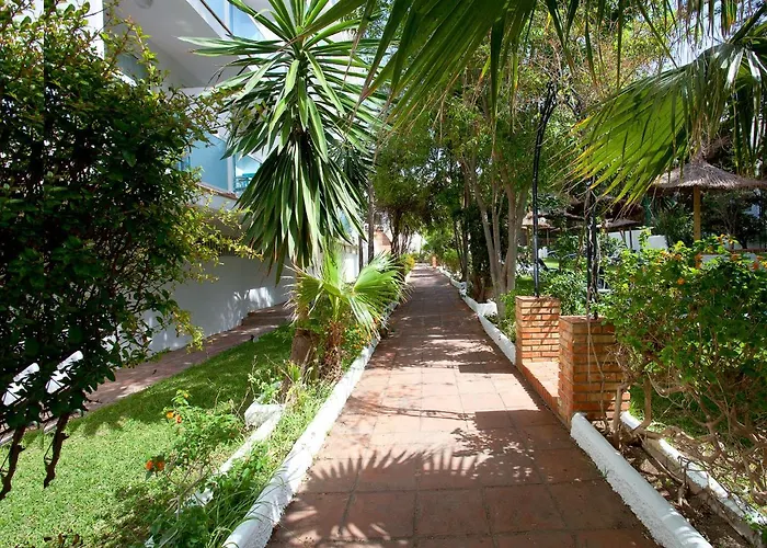 Palia Palomas Торремолинос